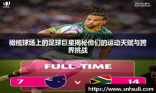 365WM完美体育官网