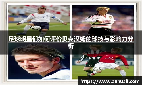 365WM完美体育官方app