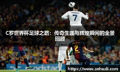 365WM完美体育官网