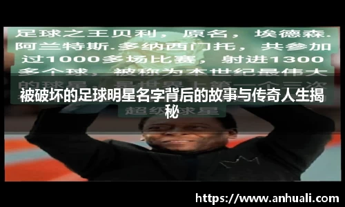 365WM完美体育官方app